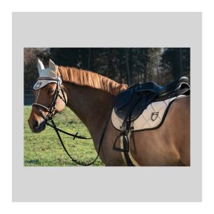 EQUESTRO - EQUIGOLDEN - PREMIUM HORSE CARE PRODUCTS